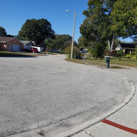 Beautiful Apartment Close To Everything Tampa Eksteriør bilde