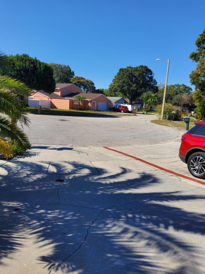 Beautiful Apartment Close To Everything Tampa Eksteriør bilde