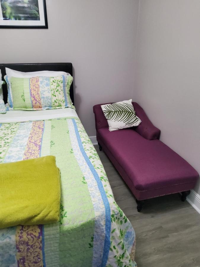 Beautiful Apartment Close To Everything Tampa Eksteriør bilde