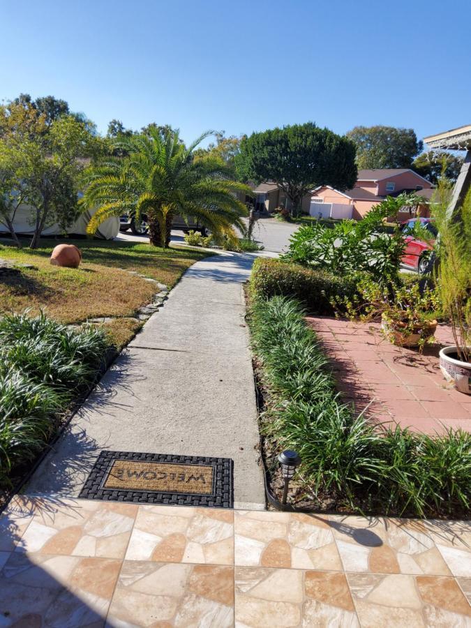 Beautiful Apartment Close To Everything Tampa Eksteriør bilde