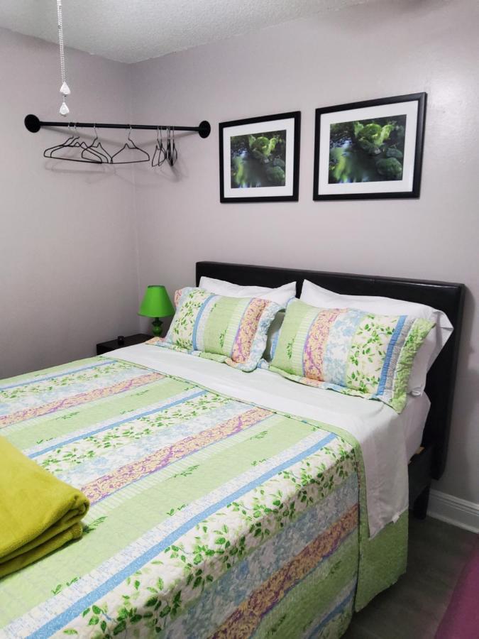 Beautiful Apartment Close To Everything Tampa Eksteriør bilde